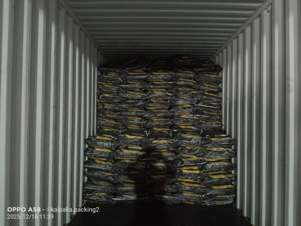 Factory Container Stuffing of Activated Carbon Bags