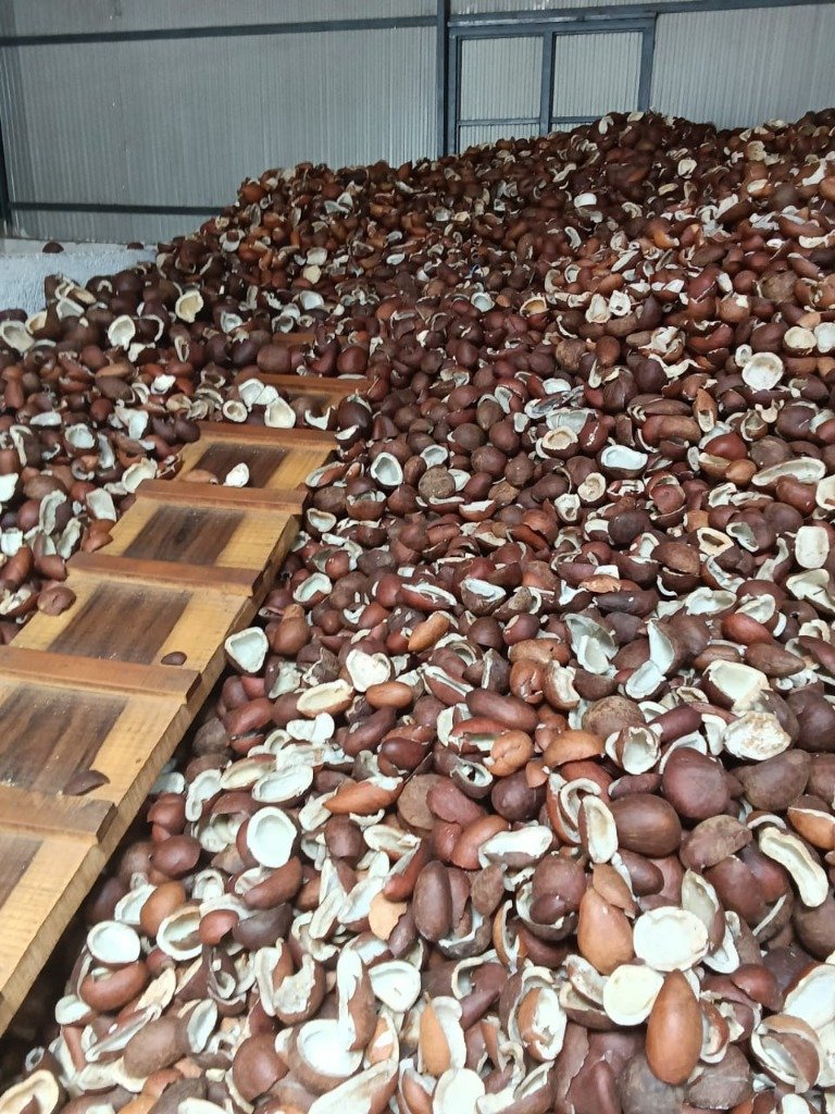 Selected copra halves stacked inside Lakshmika Mills storage warehouse